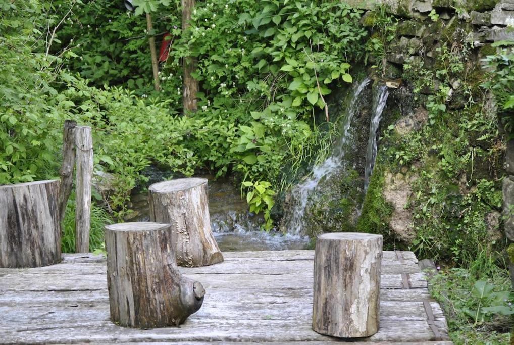 Cozy Rooms In Nature, Perfect For Relax 伊利尔斯卡比斯特里察 外观 照片