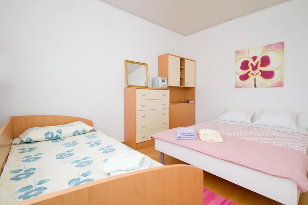 Cozy Rooms In Nature, Perfect For Relax 伊利尔斯卡比斯特里察 外观 照片