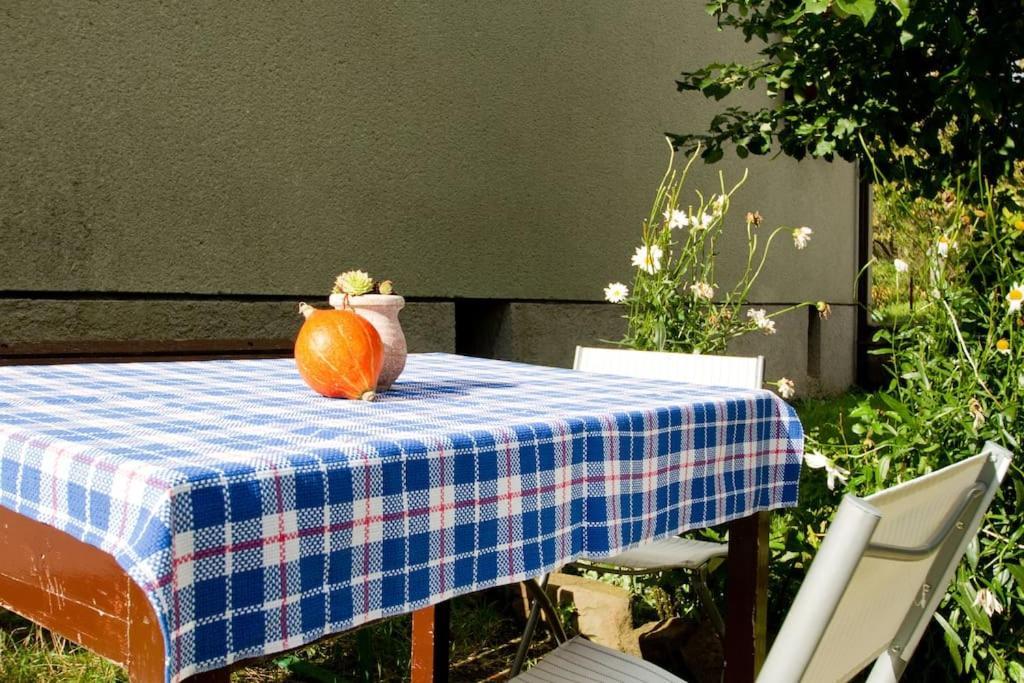 Cozy Rooms In Nature, Perfect For Relax 伊利尔斯卡比斯特里察 外观 照片