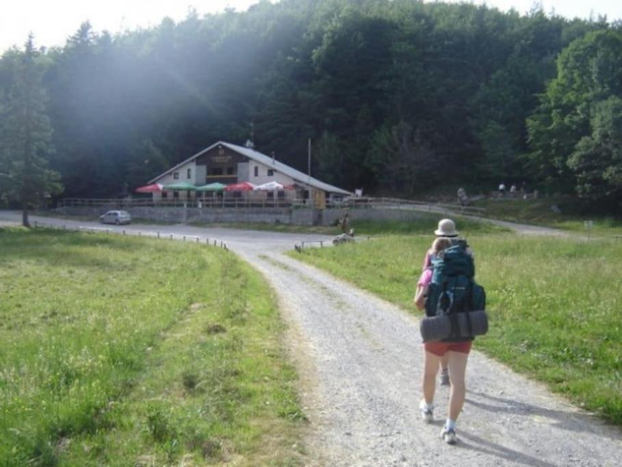 Cozy Rooms In Nature, Perfect For Relax 伊利尔斯卡比斯特里察 外观 照片
